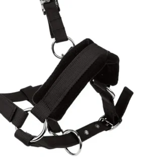 Detachable Horse Headstall Collar