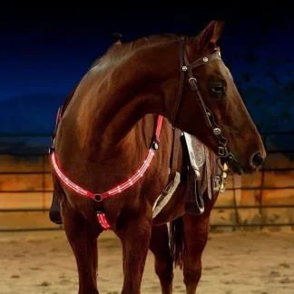 Glowing Horse Chest Strap