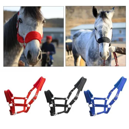 Detachable Horse Headstall Collar - Image 4