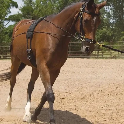 Riding Belly Strap for Horses - Image 3