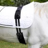 Riding Belly Strap for Horses